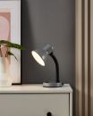Graue Schreibtischlampe leuchtet auf weißer Kommode vor grauer Wand, moderne Inneneinrichtung, Pflanzen-Deko.