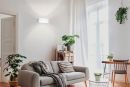 Helles Wohnzimmer mit grauem Sofa, Zimmerpflanzen, Holztisch, Bücherregal und großen Fenstern mit Tageslicht.