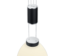 LED-Pendelleuchte SAM Schwarz